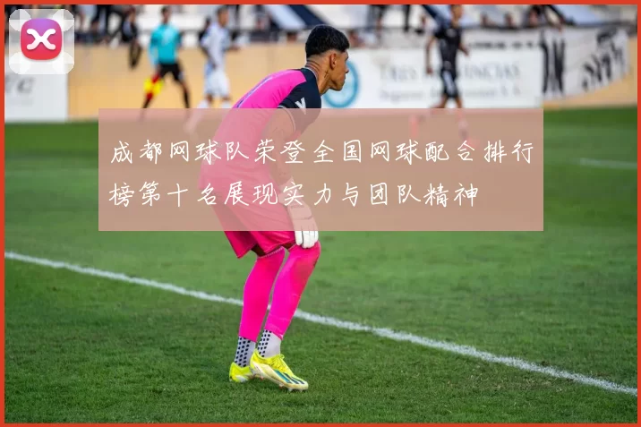 成都网球队荣登全国网球配合排行榜第十名展现实力与团队精神