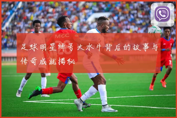 足球明星绰号大水牛背后的故事与传奇成就揭秘
