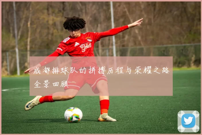 成都排球队的拼搏历程与荣耀之路全景回顾