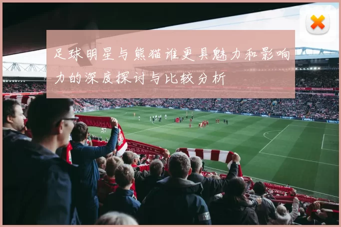 足球明星与熊猫谁更具魅力和影响力的深度探讨与比较分析