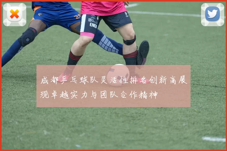 成都乒乓球队灵活性排名创新高展现卓越实力与团队合作精神