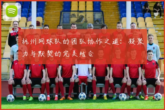 杭州网球队的团队协作之道：凝聚力与默契的完美结合